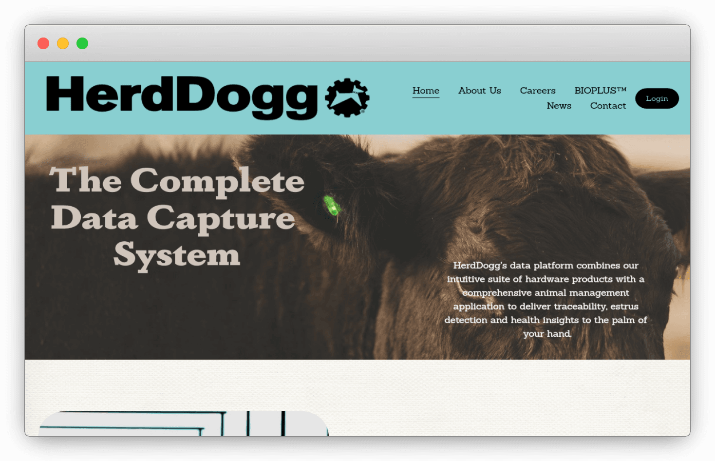 HerdDogg