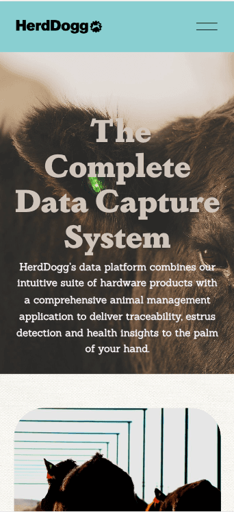 HerdDogg