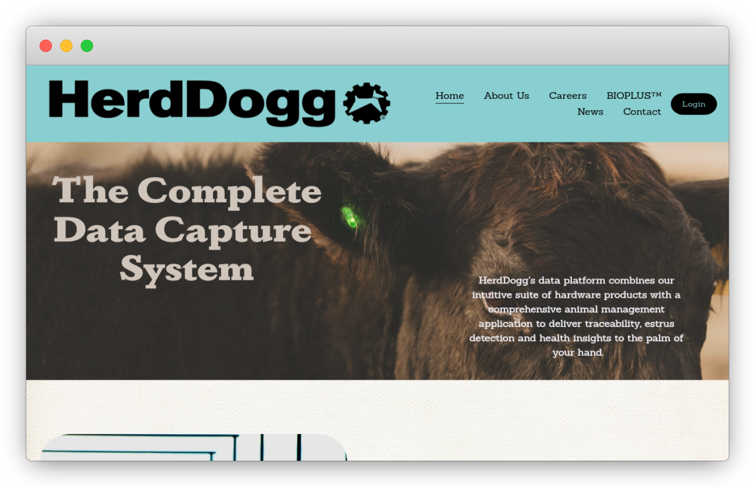 HerdDogg in browser